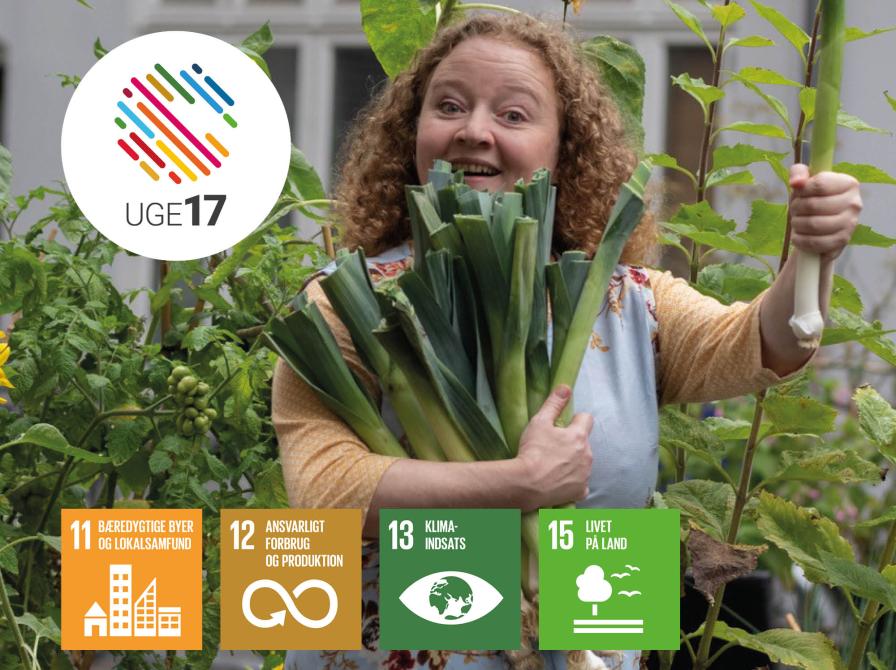 Persille Ingerslev. Uge 17 logo. Verdensmål 11, 12, 13 og 15.