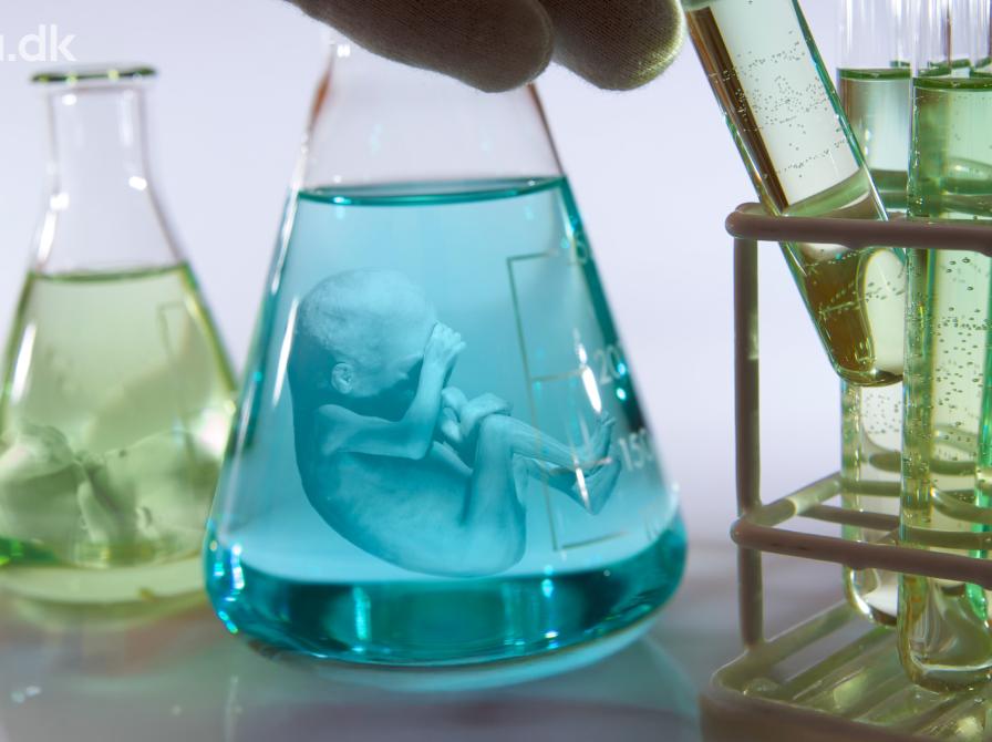 Et foster i et reagensglas.